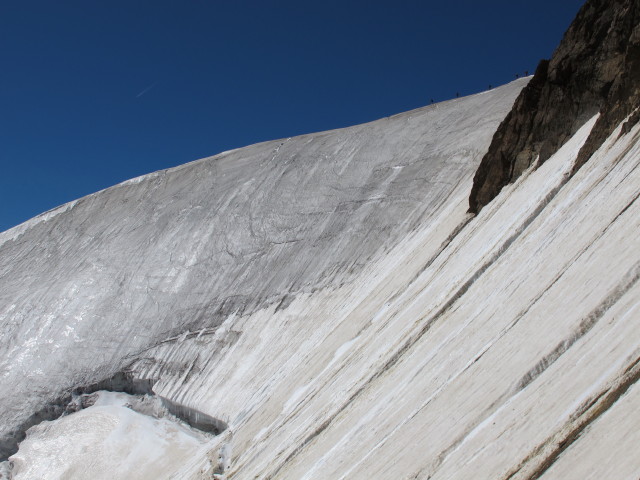 Hintereisferner vom Ostgrat der Wei&szlig;kugel aus (16. Aug.)