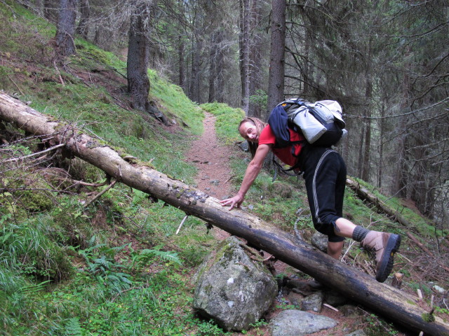 J&ouml;rg zwischen Sch&ouml;ttelh&uuml;tte und Grafenalmbach (7. Sept.)
