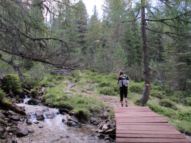 J&ouml;rg zwischen Grafenalmbach und Rudolf-Schober-H&uuml;tte (7. Sept.)