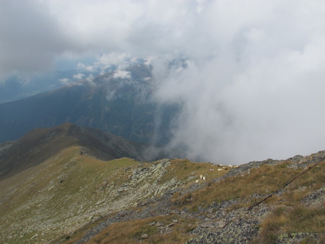 vom Feldeck Richtung S&uuml;dwesten (8. Sept.)