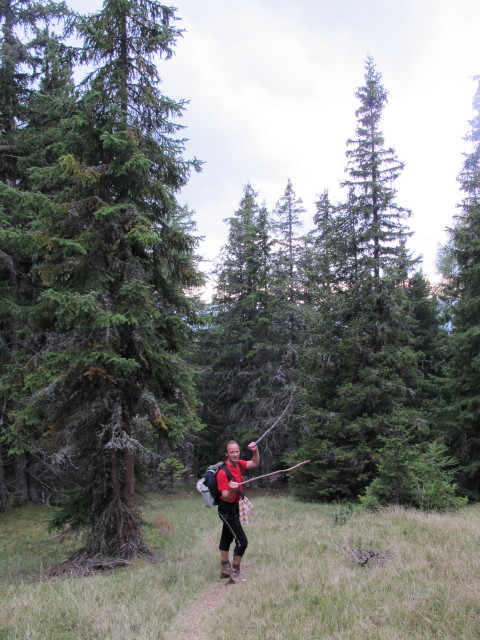J&ouml;rg zwischen Dorfer Alm und Dorfer H&uuml;tten (8. Sept.)
