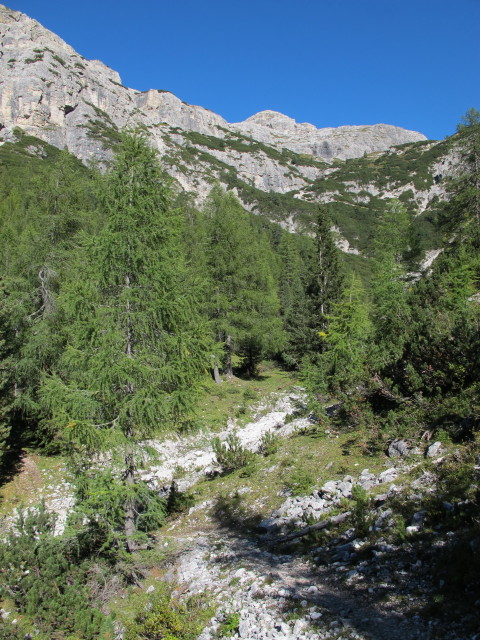 Zirmboden (21. Sept.)