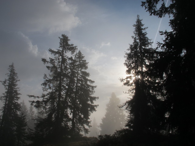 zwischen Tiergartenalm und Sunnh&uuml;tte (28. Sept.)
