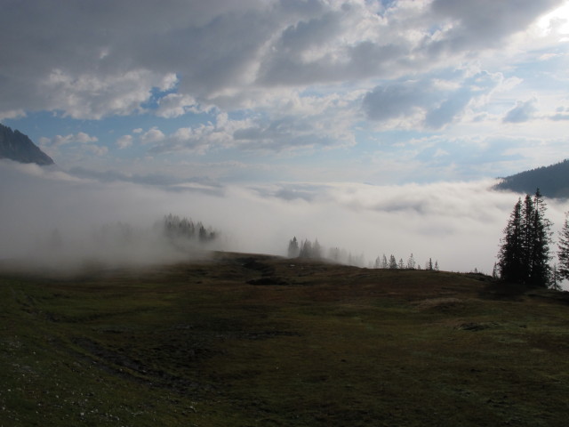 zwischen Tiergartenalm und Sunnh&uuml;tte (28. Sept.)