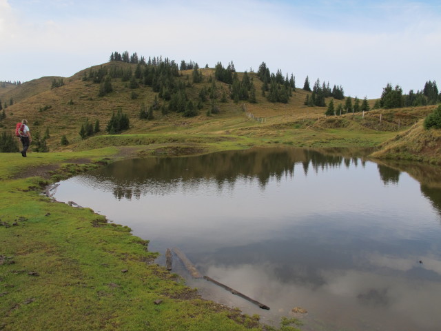 Mama zwischen Sunnh&uuml;tte und Kollmannsegg (28. Sept.)