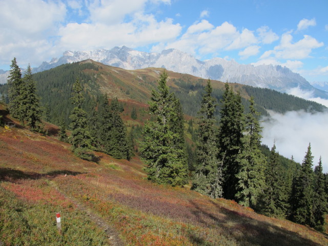zwischen Schneeberg und Hochegg (28. Sept.)