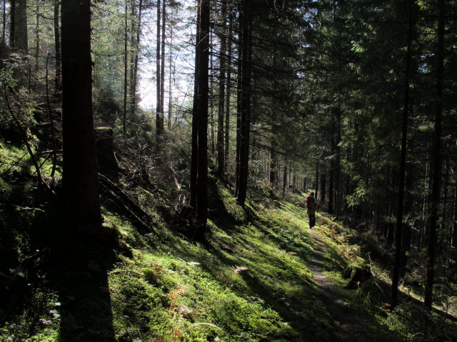 Mama im Schindleggwald (28. Sept.)
