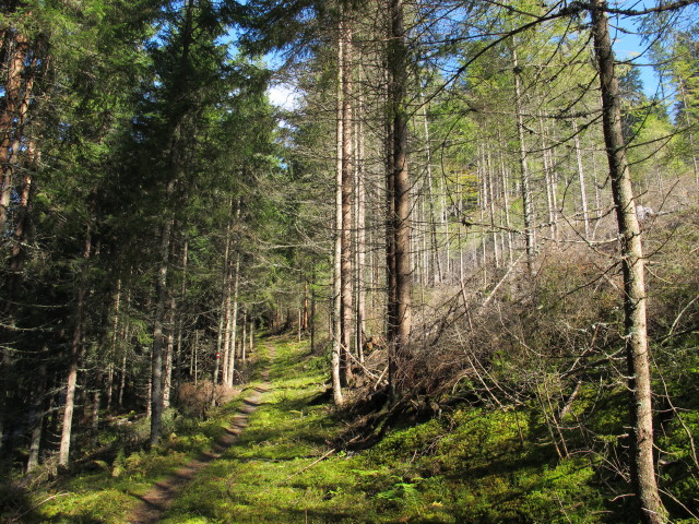 Schindleggwald (28. Sept.)