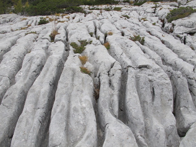 neben Weg 287 zwischen Mausloch und Aiplh&uuml;tte