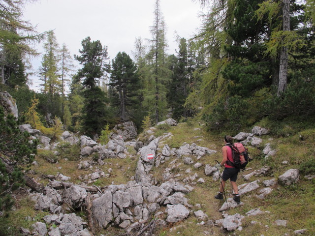 Gudrun am Weg 287 zwischen Mausloch und Aiplh&uuml;tte