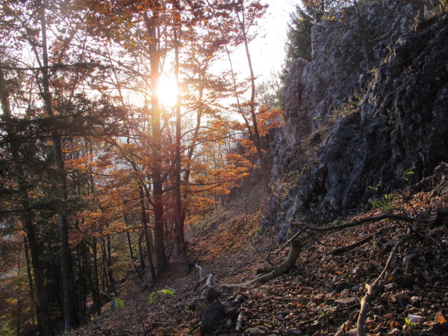 zwischen R&ouml;thelstein und Bucheben