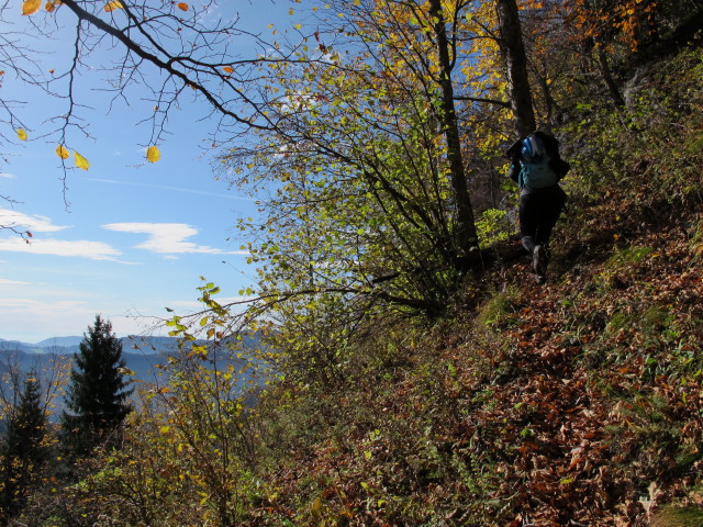 Irene zwischen Rucksackplatzerl und 'H&uuml;hnerleiter'