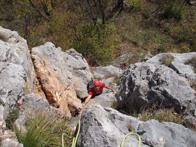 'H&uuml;hnerleiter': Dieter in der 1. Seill&auml;nge