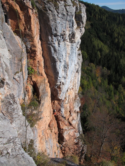 'Feuervogel' von der 'H&uuml;hnerleiter' aus