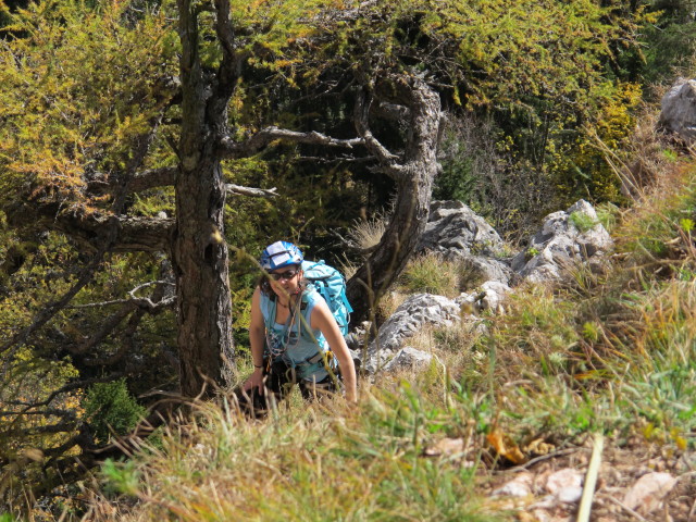 'H&uuml;hnerleiter': Irene in der 2. Seill&auml;nge