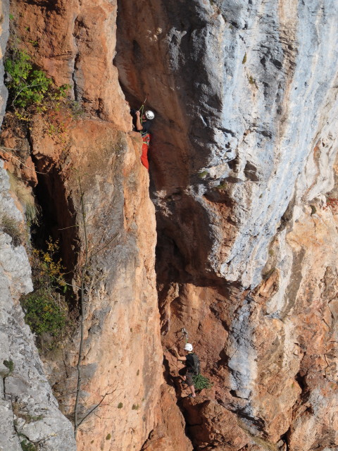 'Feuervogel' von der 'H&uuml;hnerleiter' aus