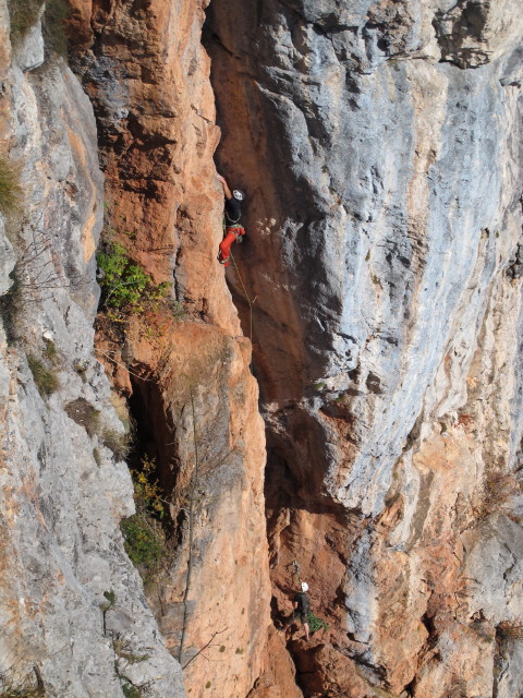 'Feuervogel' von der 'H&uuml;hnerleiter' aus