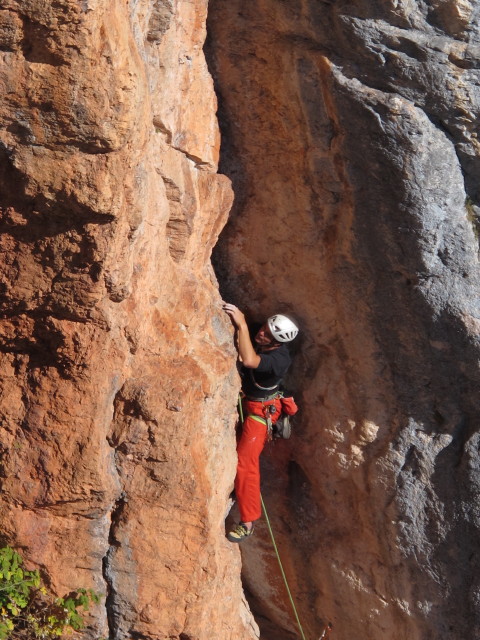 'Feuervogel' von der 'H&uuml;hnerleiter' aus