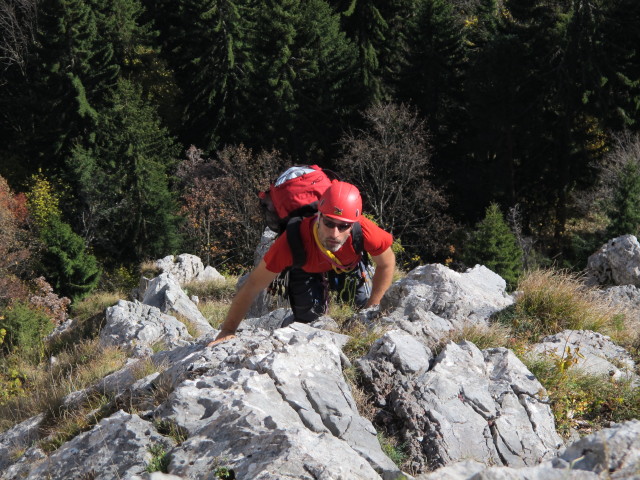 'H&uuml;hnerleiter': Dieter in der 4. Seill&auml;nge