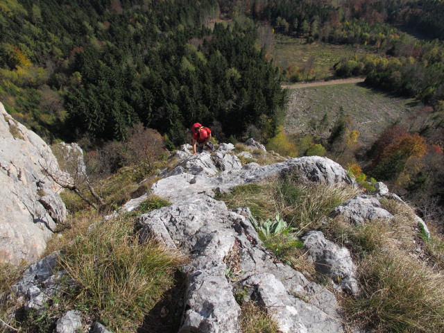 'H&uuml;hnerleiter': Dieter in der 4. Seill&auml;nge