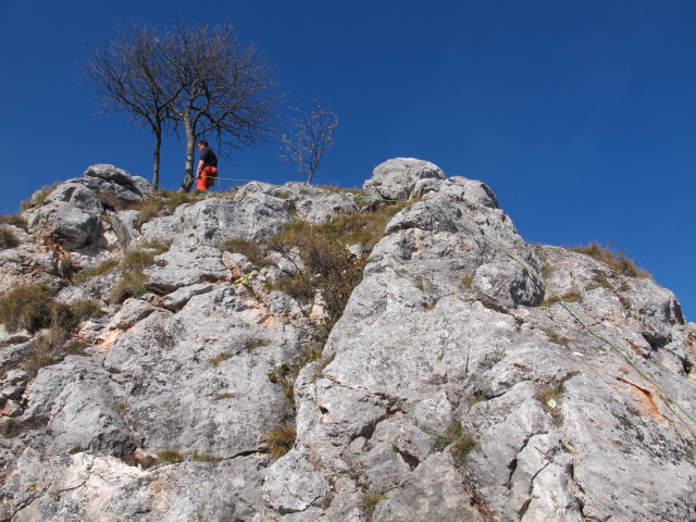 'H&uuml;hnerleiter': 7. Seill&auml;nge