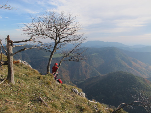 'H&uuml;hnerleiter': Dieter im Ausstieg