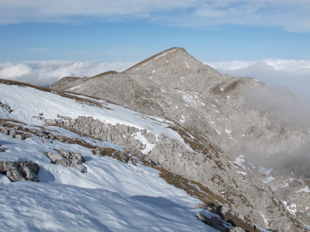 H&uuml;hnerkrallkopf (27. Okt.)