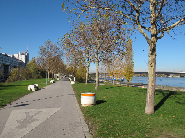 zwischen Brigittenauer Br&uuml;cke und Floridsdorfer Br&uuml;cke