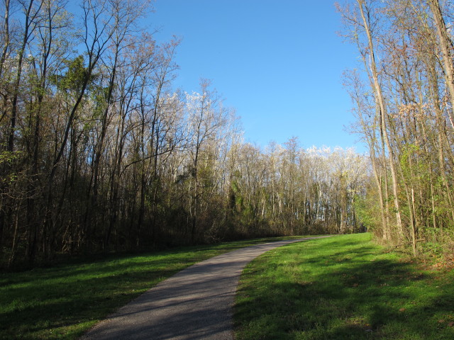 zwischen H&ouml;flein und Kraftwerk Greifenstein