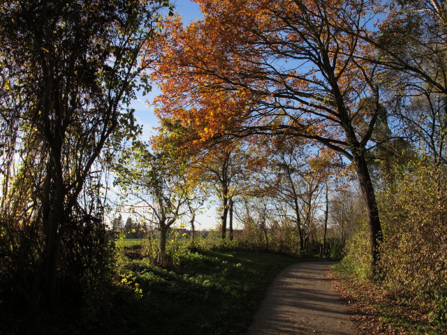 zwischen Kleinsch&ouml;nbichl und Erpersdorf