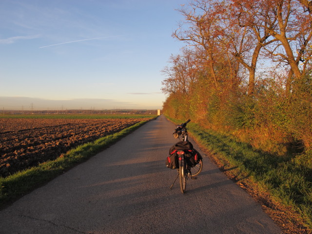 zwischen Gigging und D&ouml;rfl