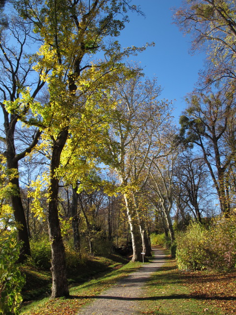 Schlosspark Esterh&aacute;zy