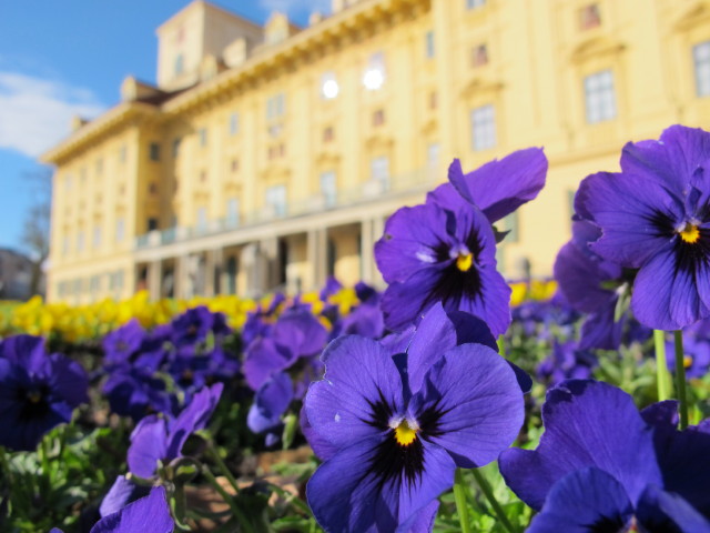 Schloss Esterh&aacute;zy