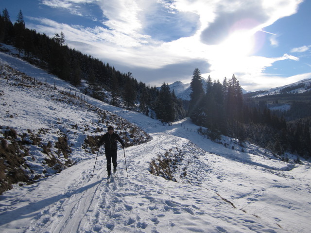 Axel zwischen Ronachwald und Salzachjochh&uuml;tte