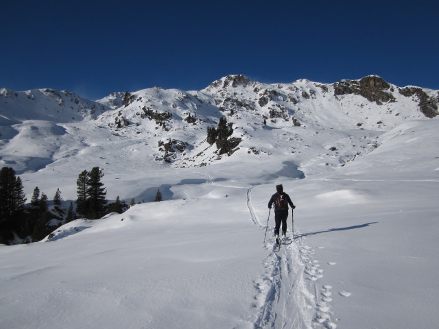 Axel zwischen Salzachalm und &Ouml;stlichem Salzachgeier