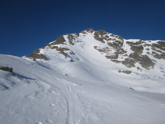 &Ouml;stlicher Salzachgeier