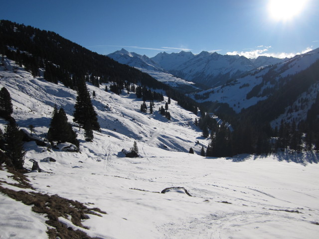 zwischen Salzachalm und Salzachjochh&uuml;tte