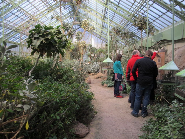 Markus im Wüstenhaus