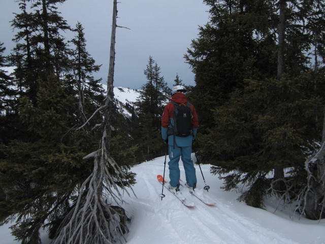 zwischen Trattenbachabfahrt und Aubach (17. J&auml;n.)