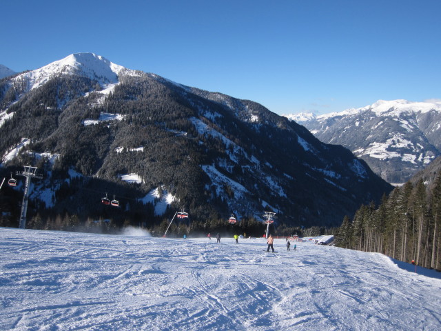 B&auml;rnbissabfahrt