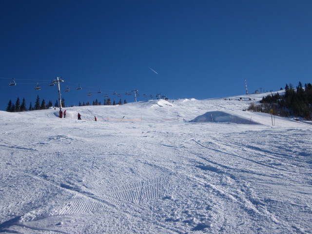 B&auml;rnbissabfahrt