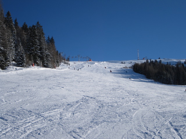 B&auml;rnbissabfahrt