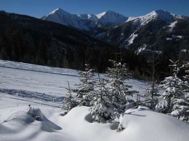 B&auml;rnbissabfahrt