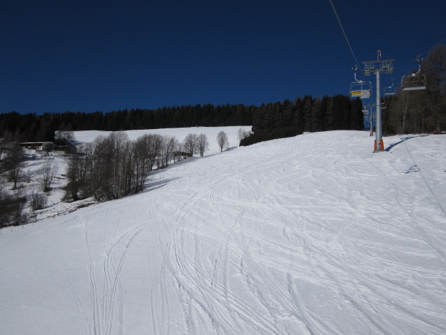 Sonnenhangabfahrt vom Hauereck-Jet aus