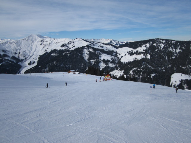 B&uuml;rglalmabfahrt