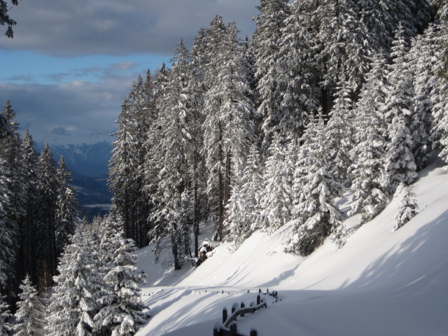 zwischen Steinhof und Padauner M&auml;hder