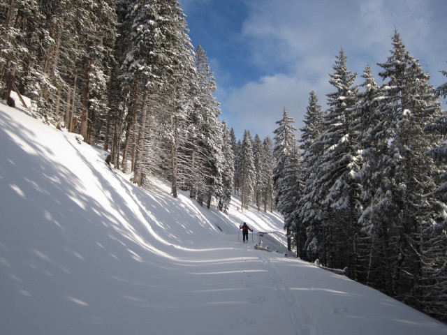 Axel zwischen Steinhof und Padauner M&auml;hder
