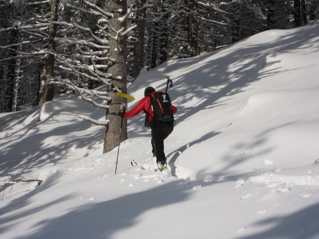 Axel zwischen Steinhof und Padauner M&auml;hder