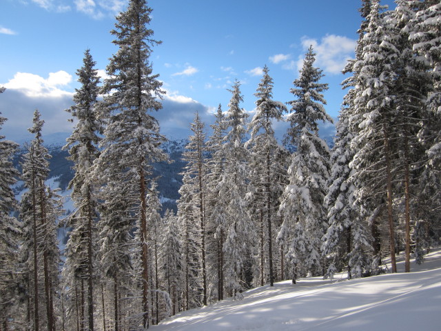 zwischen Steinhof und Padauner M&auml;hder