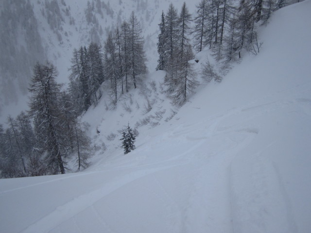 zwischen Schafseitenspitze und Stippleralm
